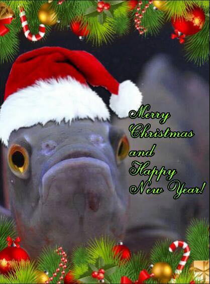 God Jul og et Godt Nytt År!